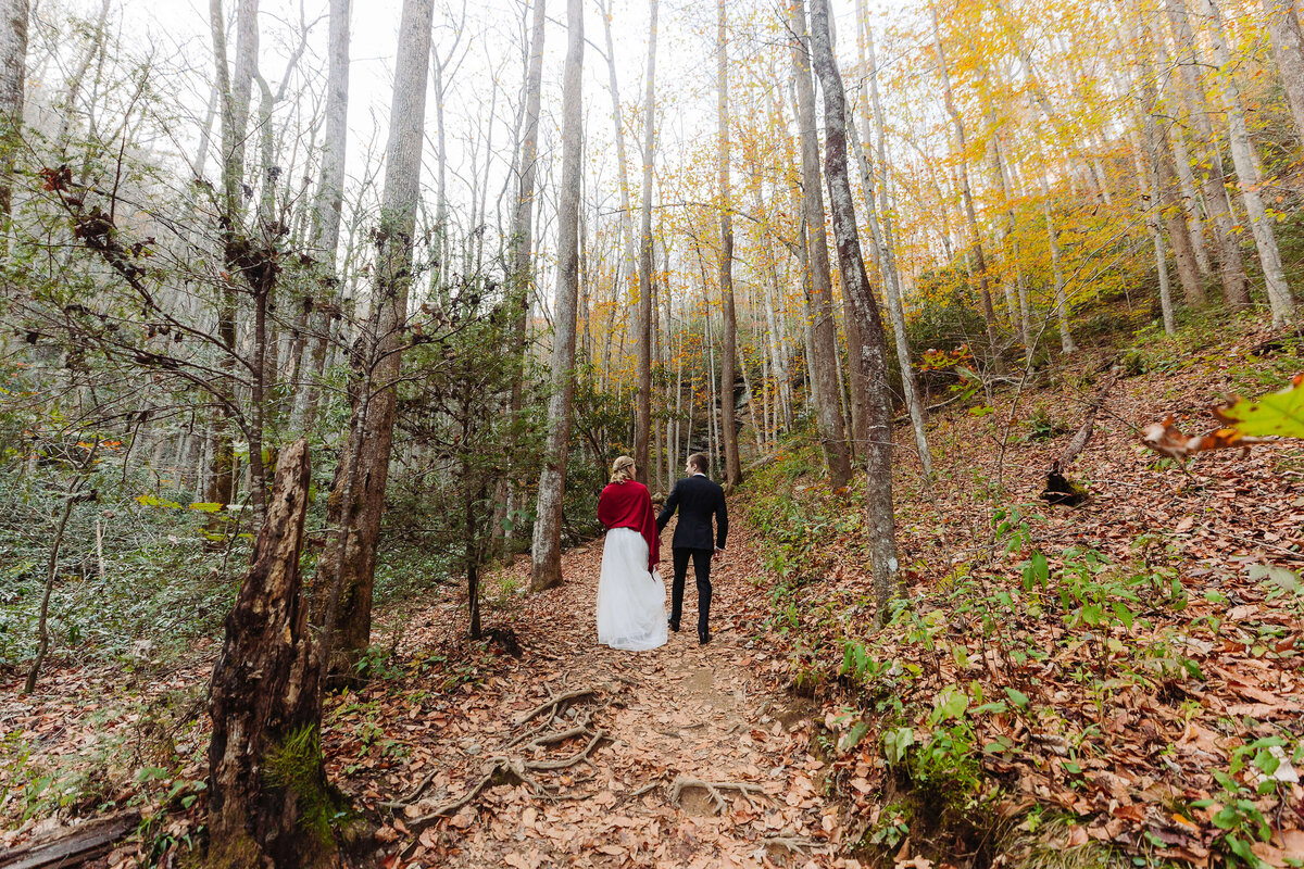 Moore-Cove-Falls-NC-Elopement-36
