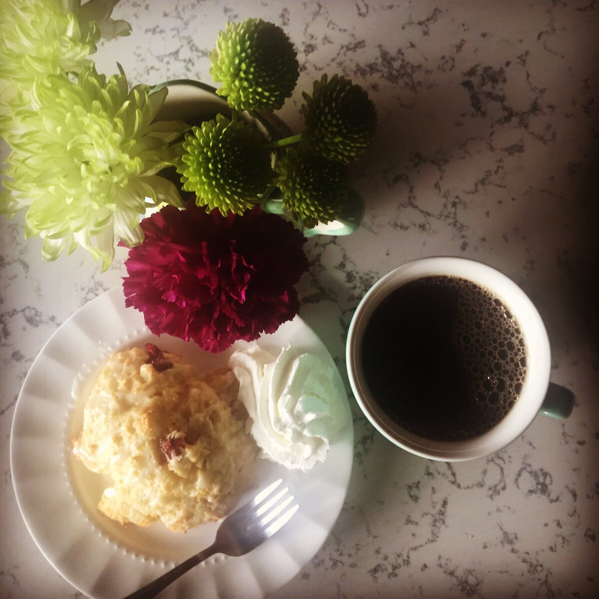 french-press-regina-coffee-art