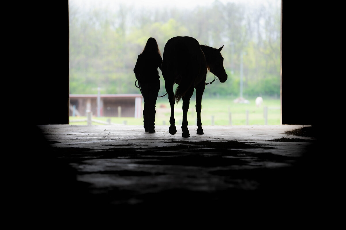 DSC_6247-Edit