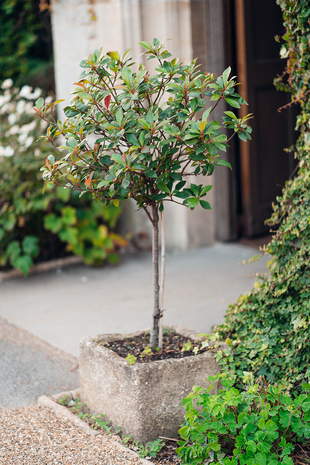 Hyde_House_EmilyCollettPhotography0065