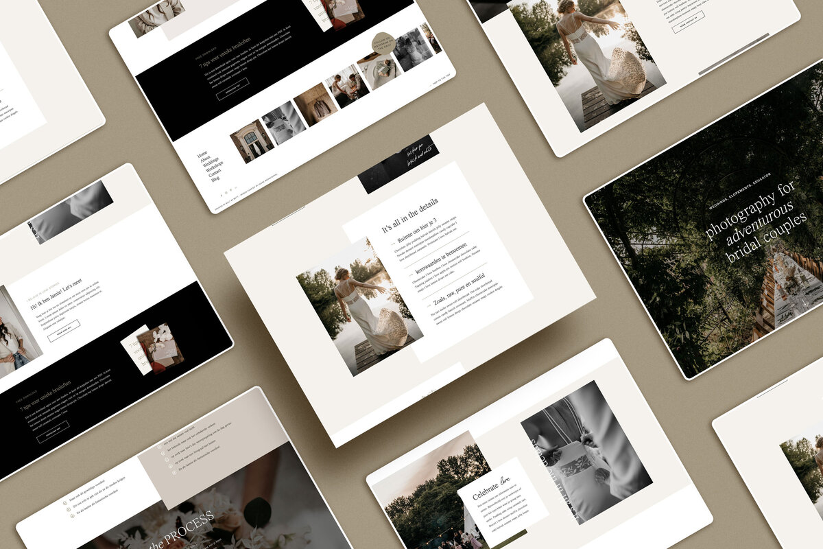 showit-template-builtbybritt-raspberry_1