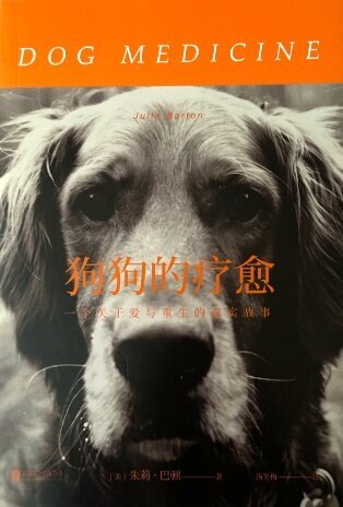 Intl DM Chinese_Mandarin_cover