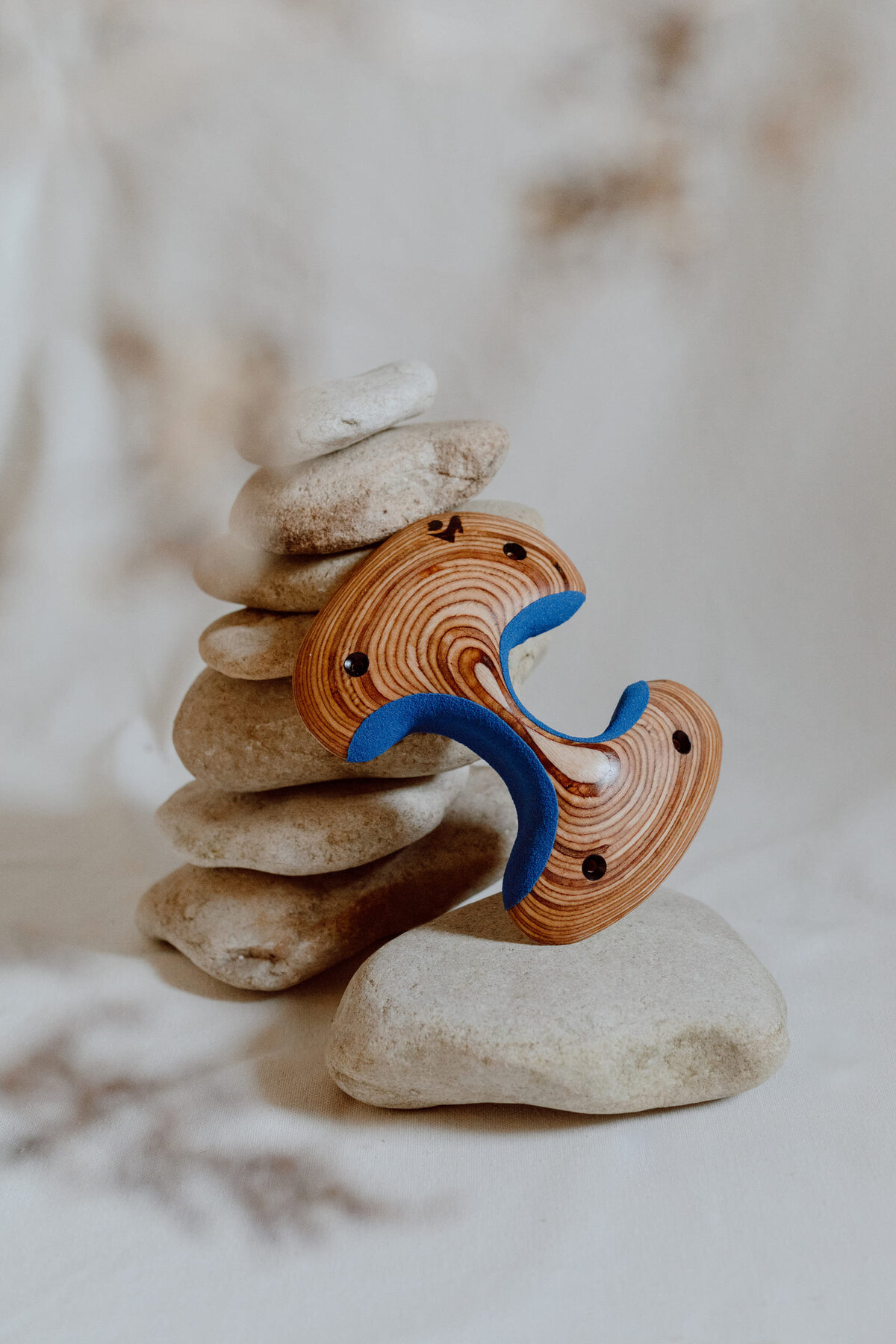 mojo-climb-prises-escalade4