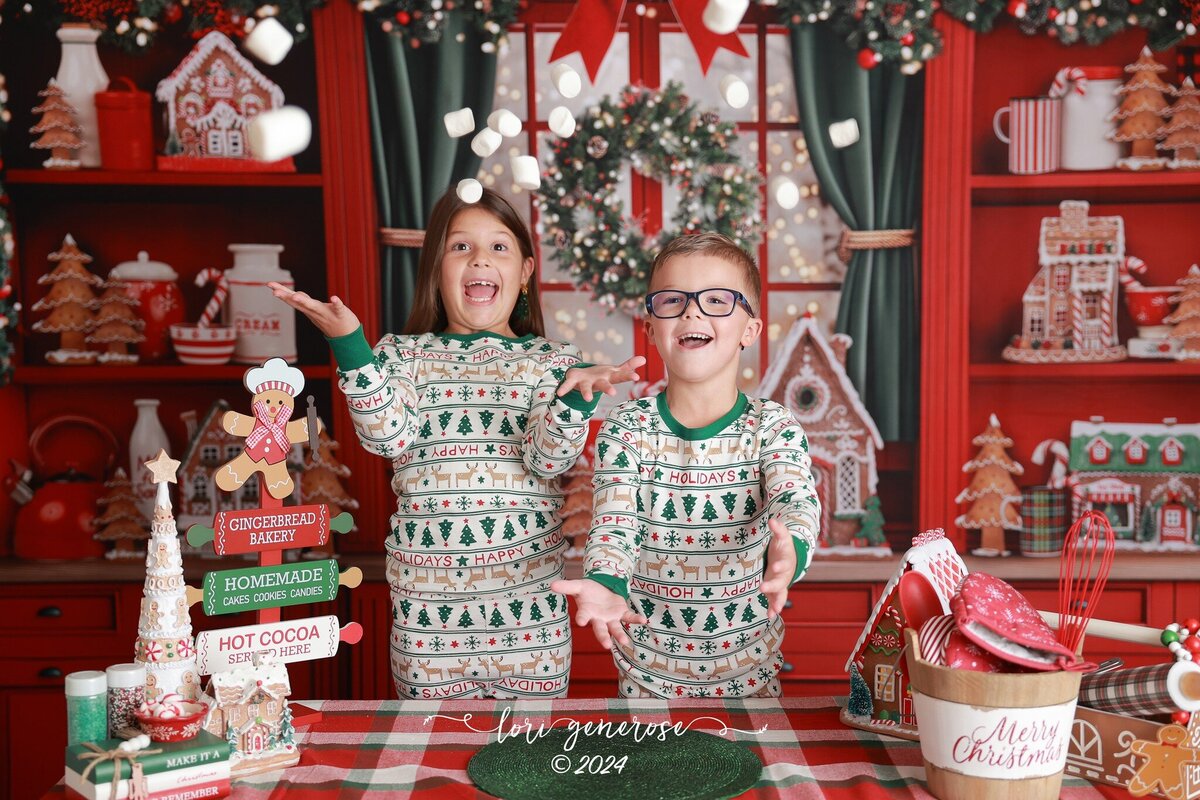 lehigh-valley-photographer-lori-generose-lg-photography-christmas-studio-mini-session-alburtis-pa