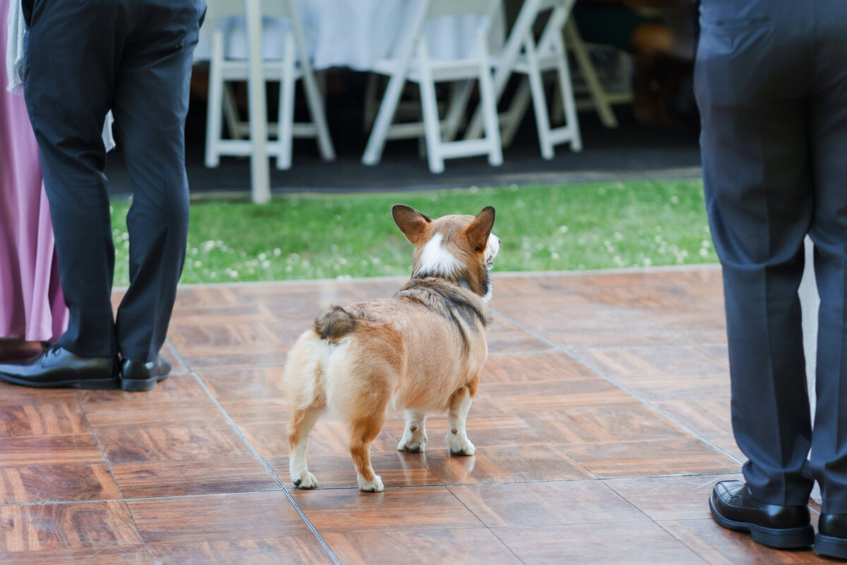 Reception-Fun_Hershey-Wedding_059-Edit