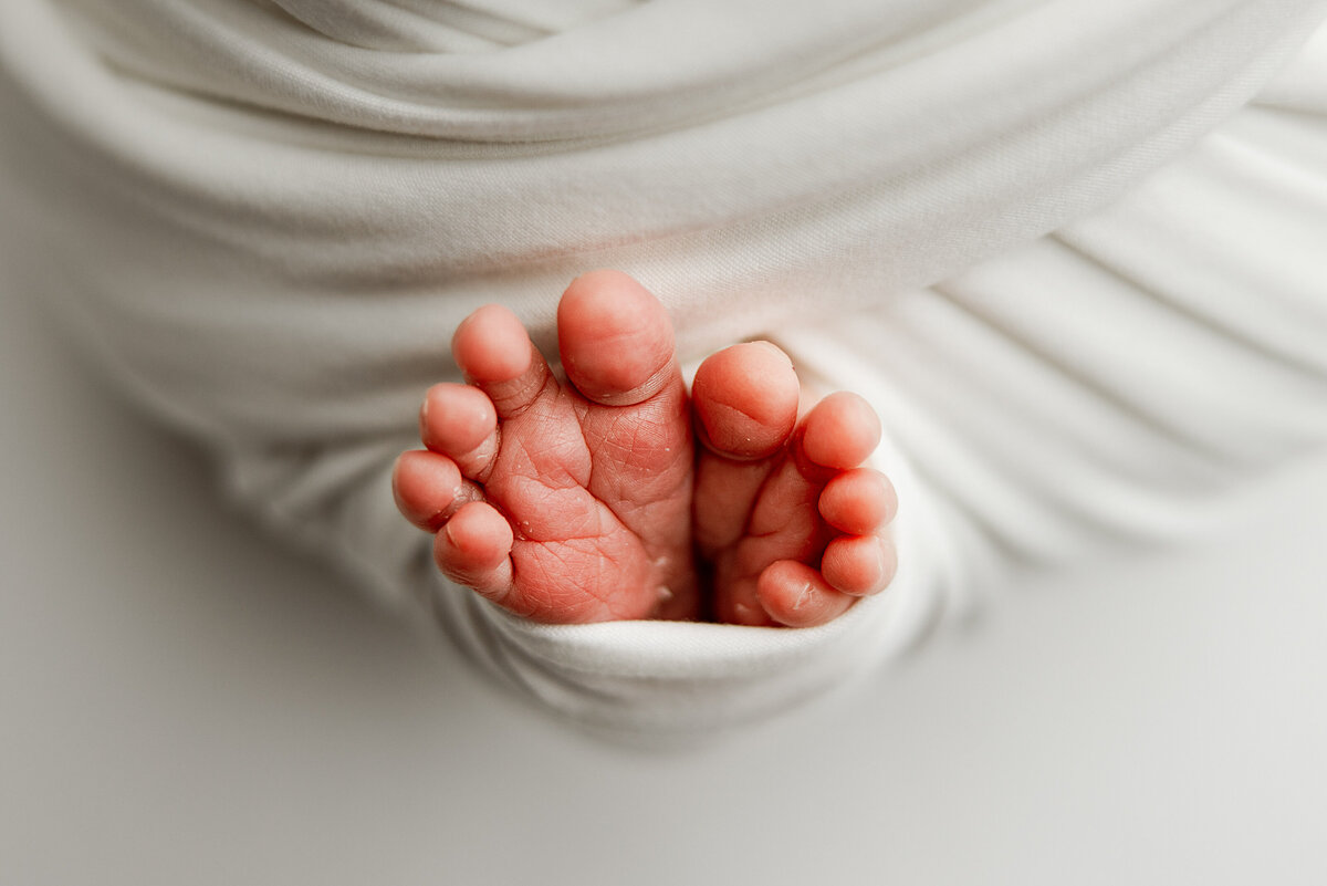 baby photography huntsville