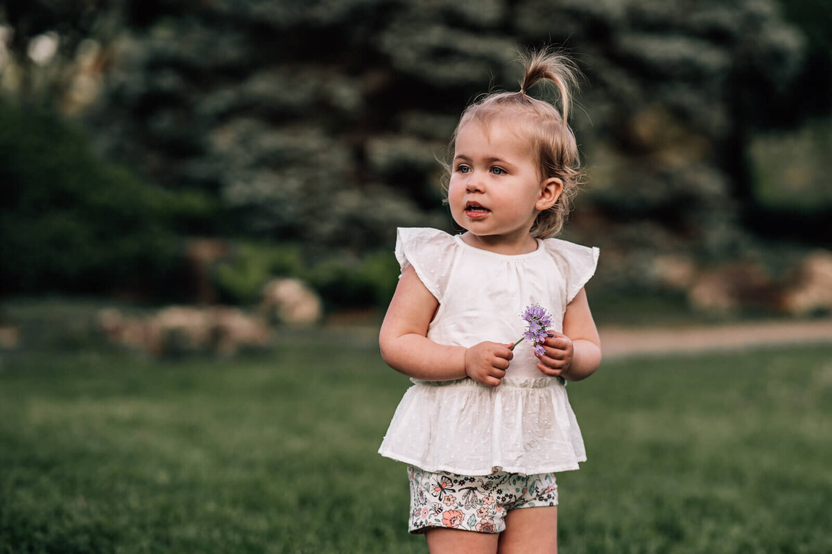 A two year old girl holds a purple flower and looks off to the side during a maternity session at Lake Harriet Peace Gardens in Minneapolis.