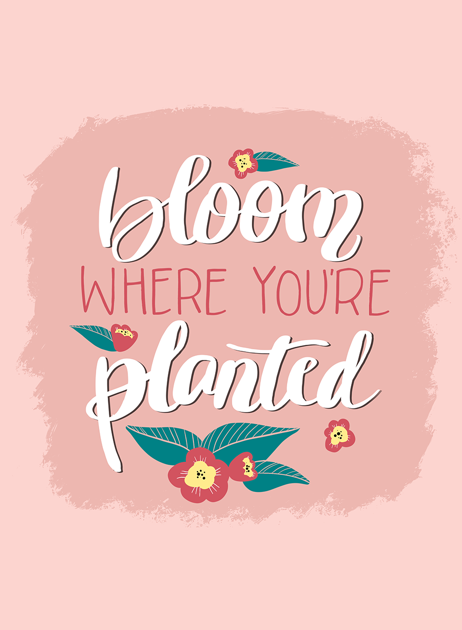 bloom