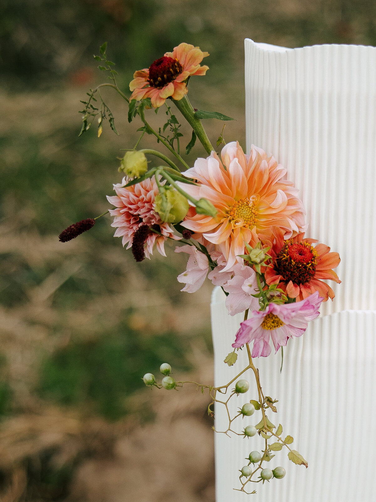 Vazquez Photography- Cielo Farms-24