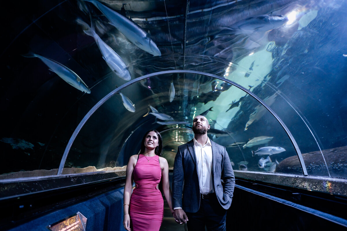 Nawar&Mariam-45