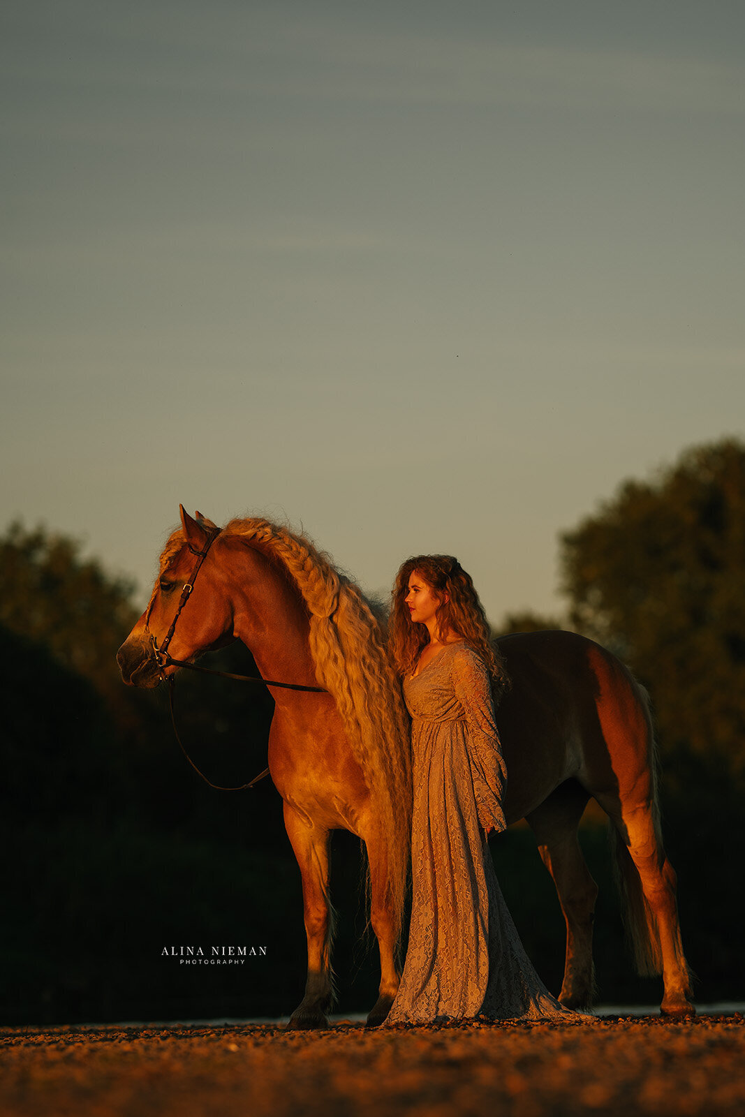 Fotoshoot tijdens het gouden uurtje samen met je paard |