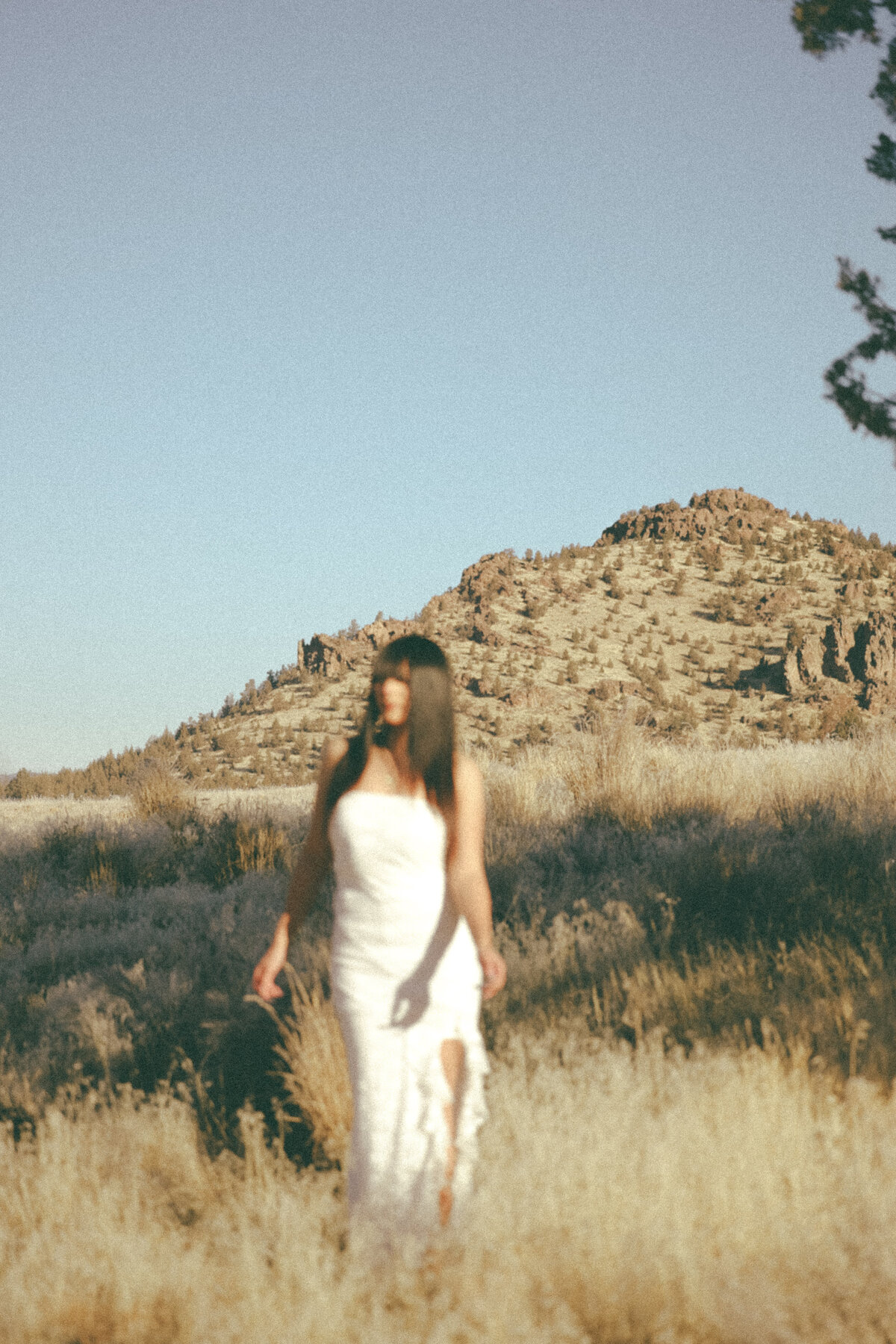 Soft Light Graduation Portrait of Girl in Cap and Gown Smiling Among Flowering Bushes