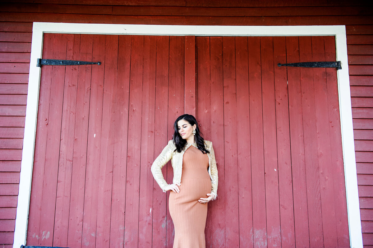 glamourous_mother_red_barn