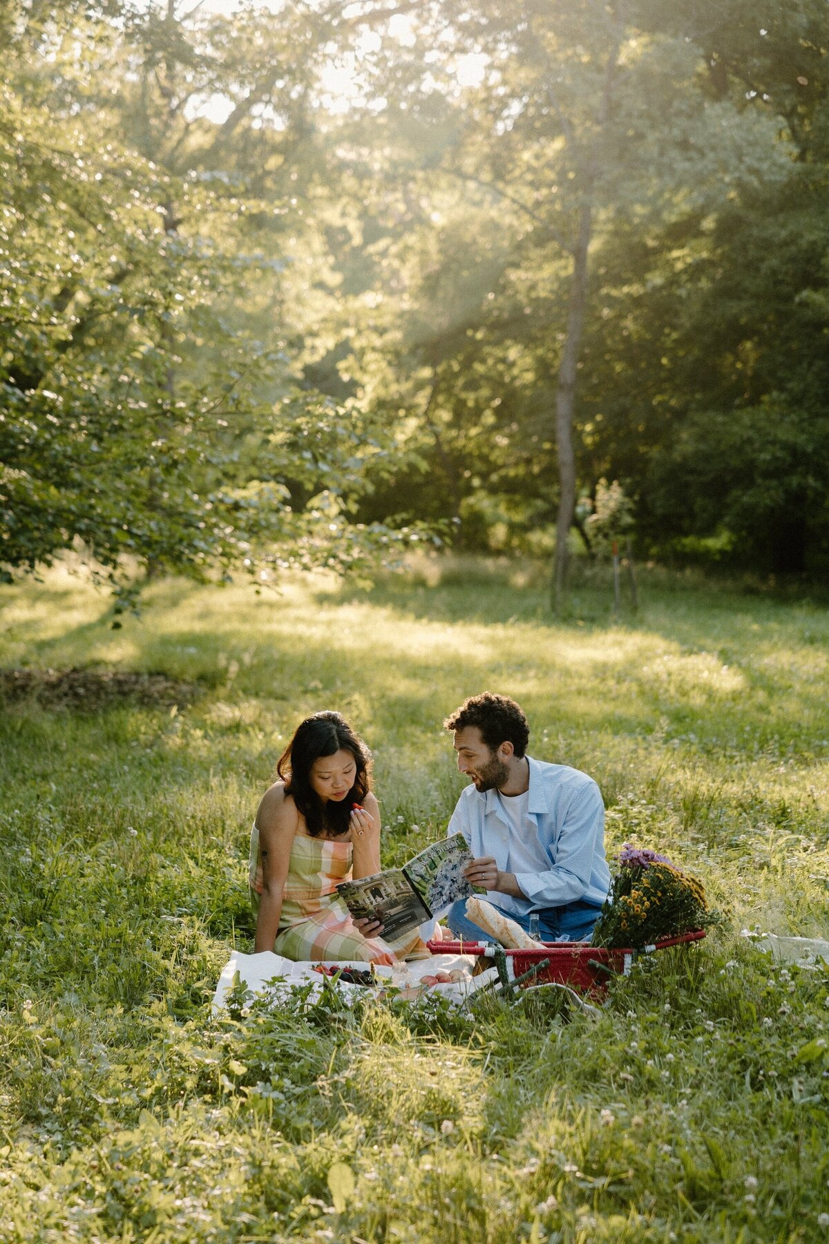 couple having picnic in grass