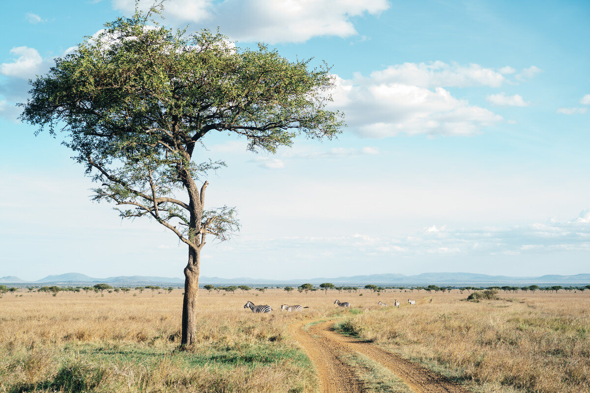 leila-brewster-photography-tanzania-0367