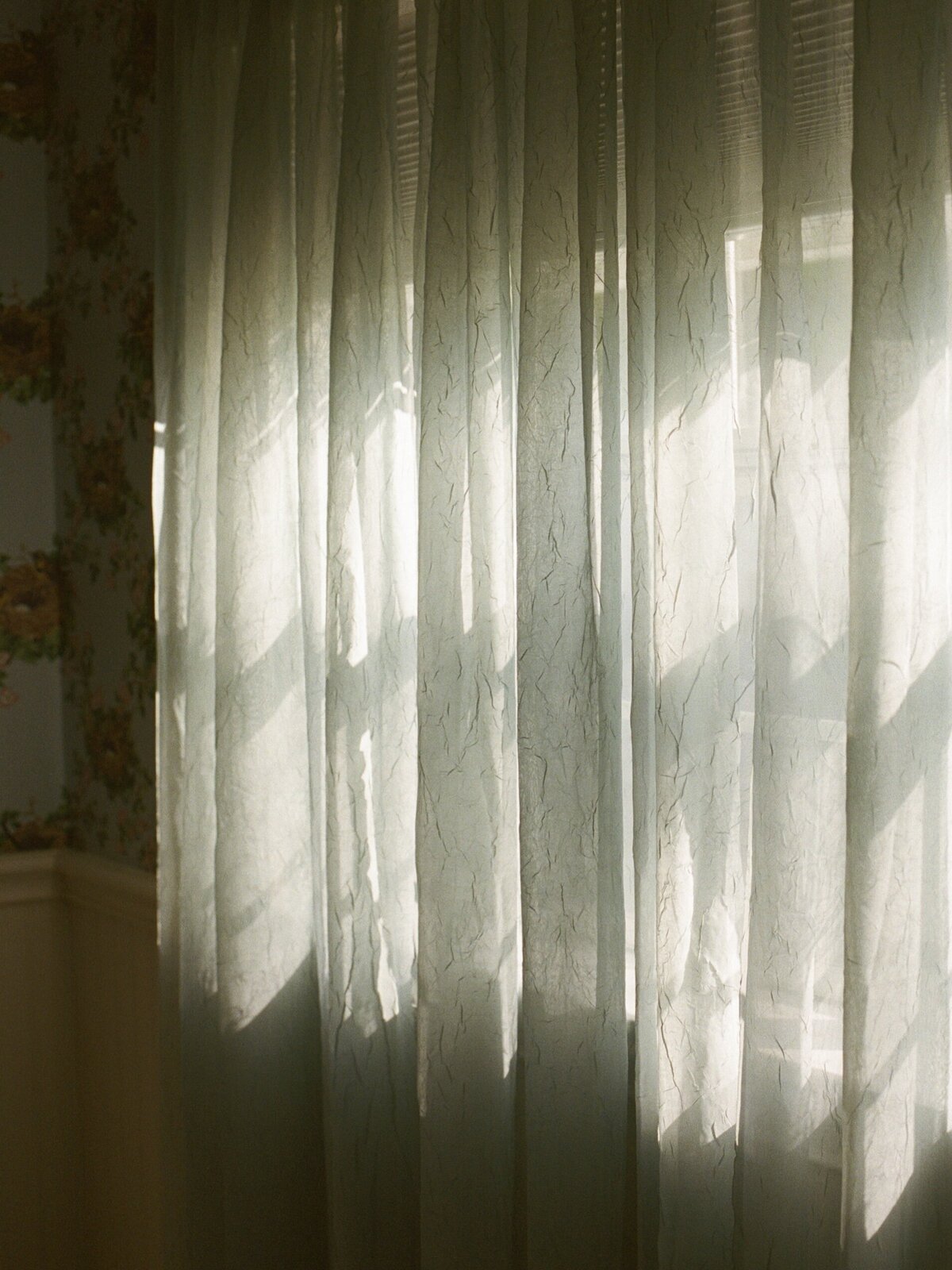 Soft morning light streaming through window covers, casting gentle shadows in a quiet Carmel room, captured in a candid, documentary style by Kate Winters Photography.