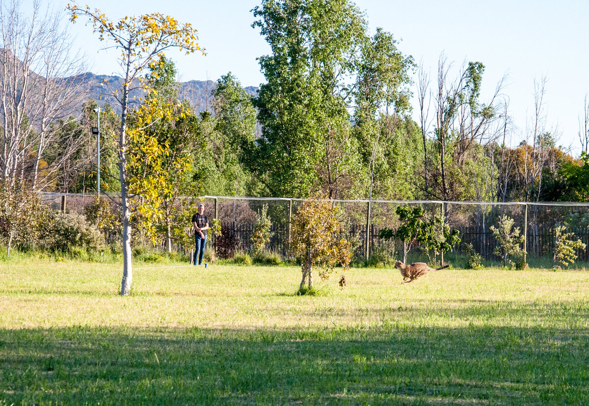 SA (484 of 1042)