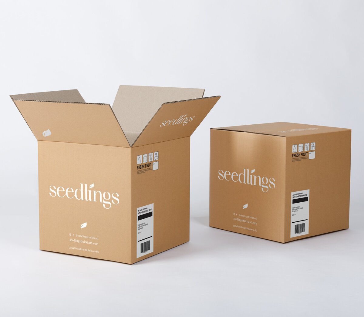 Seedlings_shippingbox