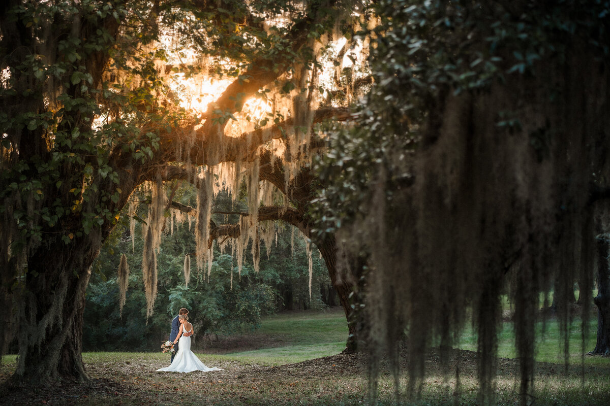 Charleston Wedding - Spanish Moss-58