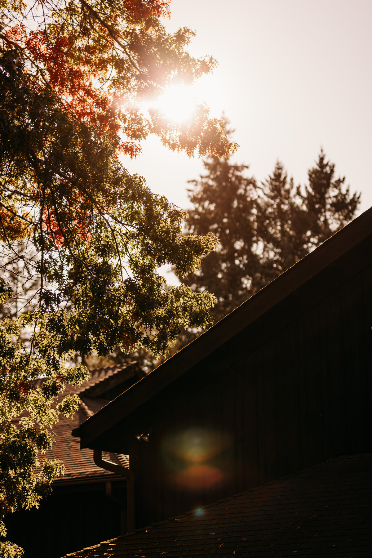 19Acres_Fall1_121