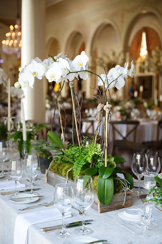 markatwed0224