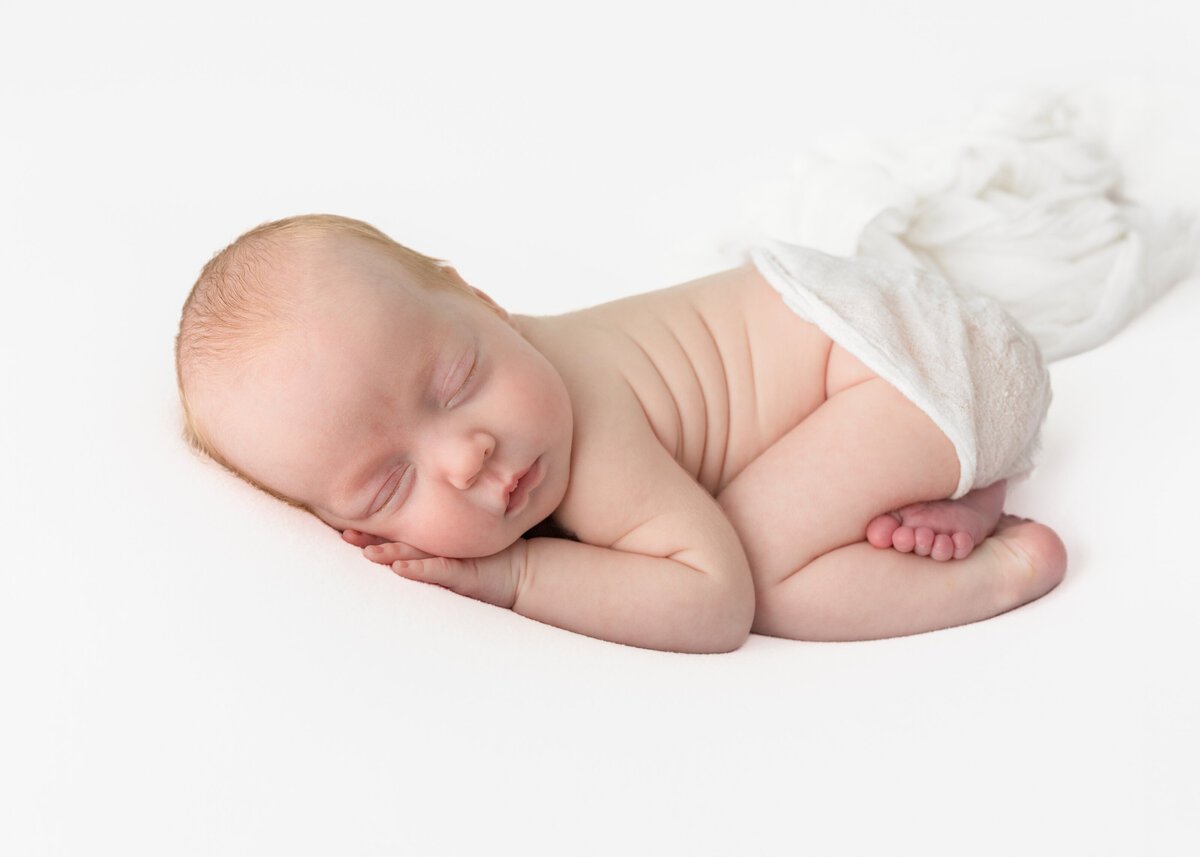 Hobart Baby Photography | Hobart Newborn Photographer-2