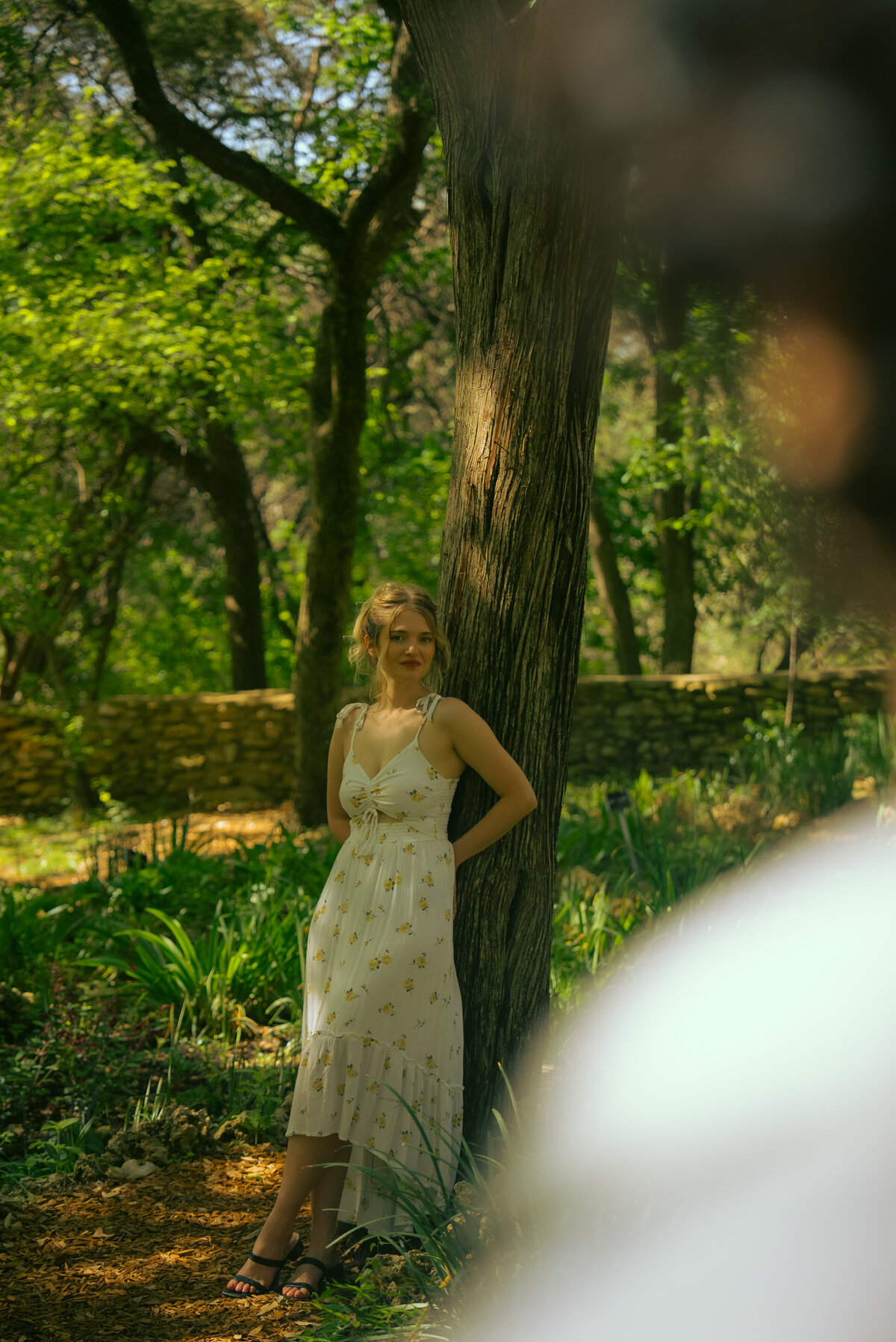 vintage lut-1216