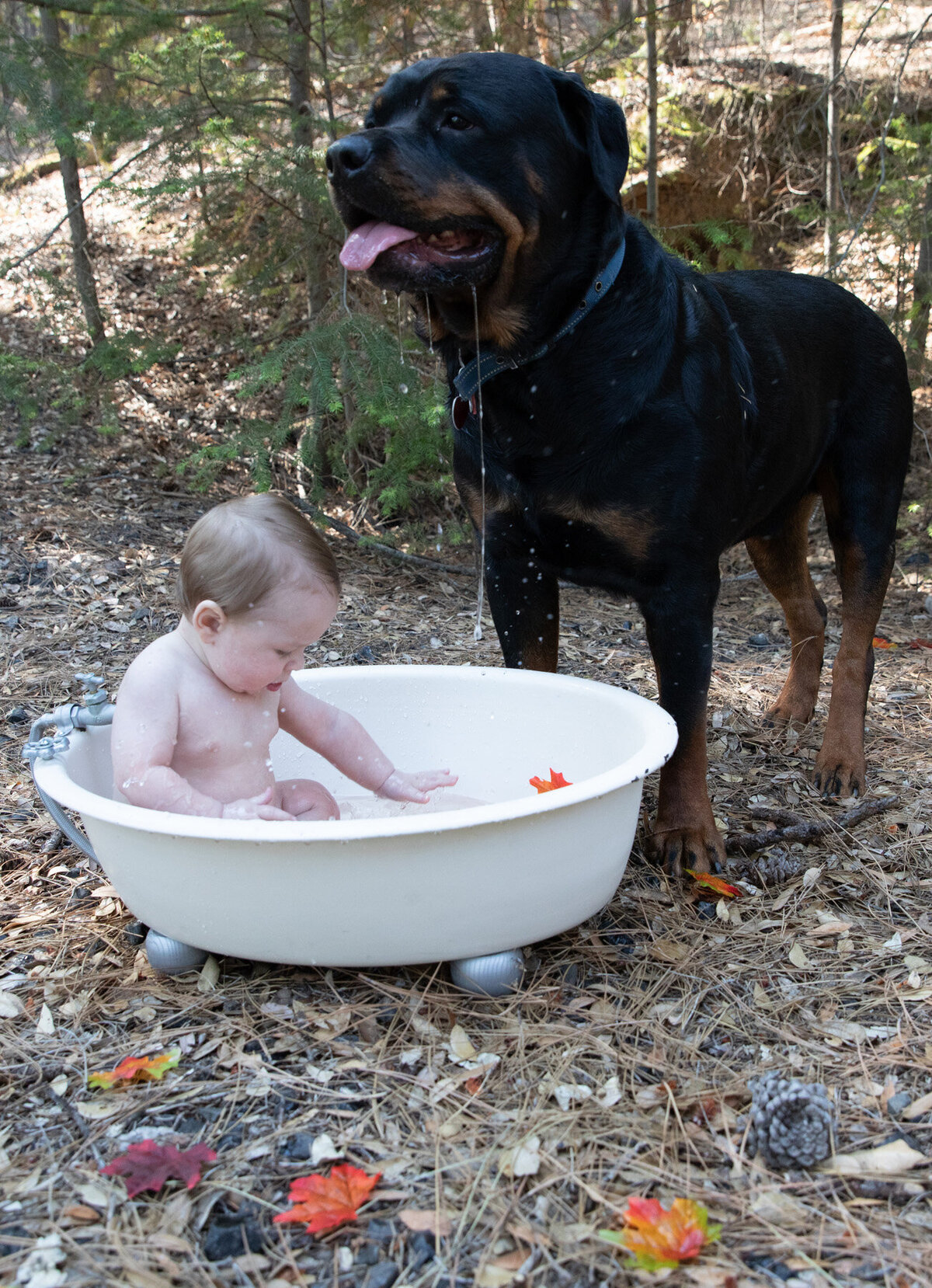 little boy in tub with dog
