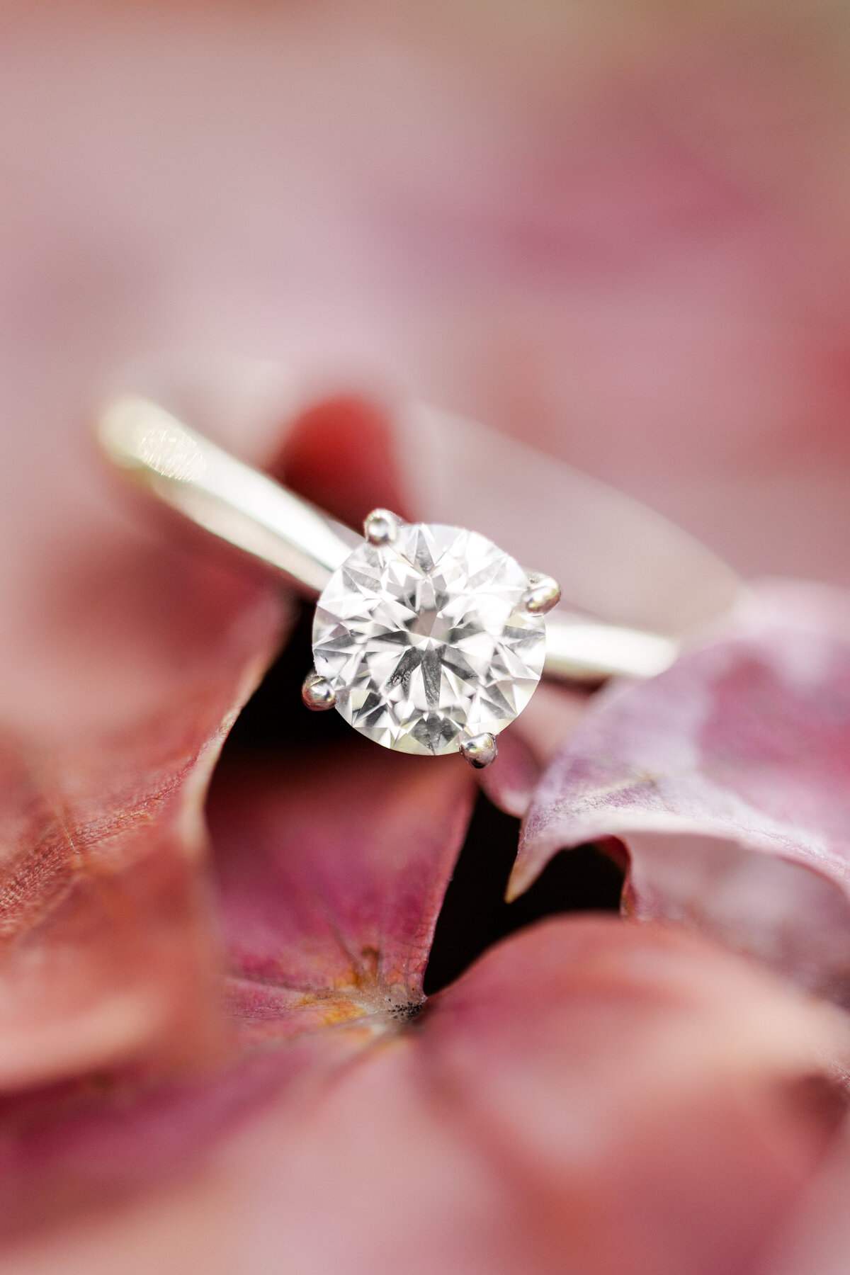 minnesota-wedding- photographers-54