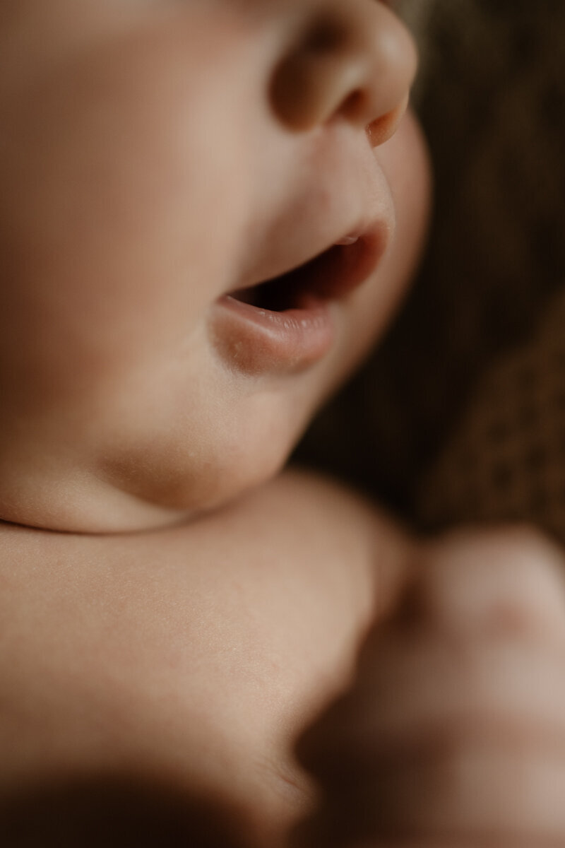 ROAW_newborn_sudio_decker_001518