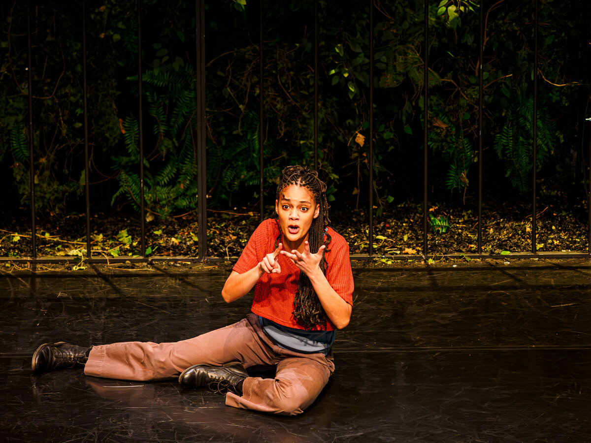ROBIN  TPV_2130187-2-Enhanced-NR