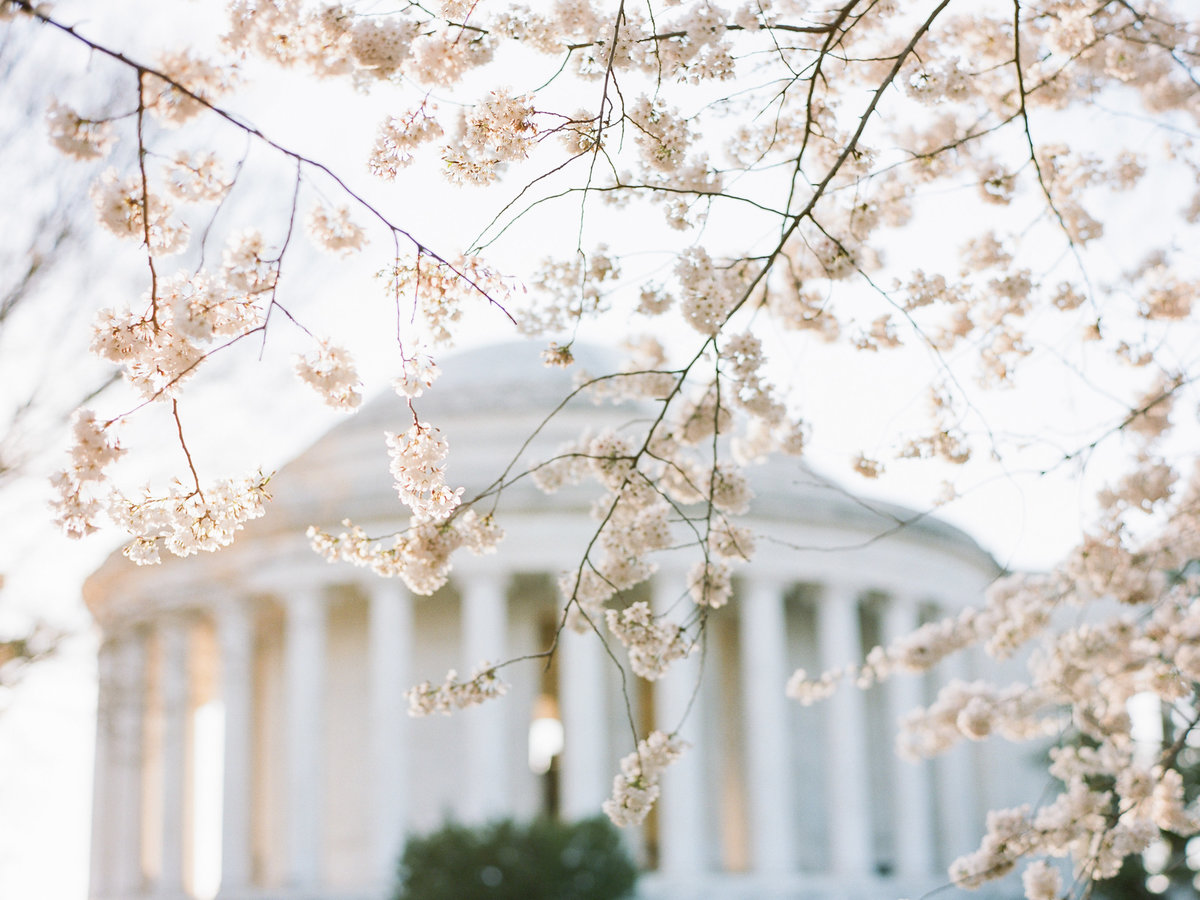 20190402-Pura-Soul-Photo-Courtney-JJ-Engagement-Film-1