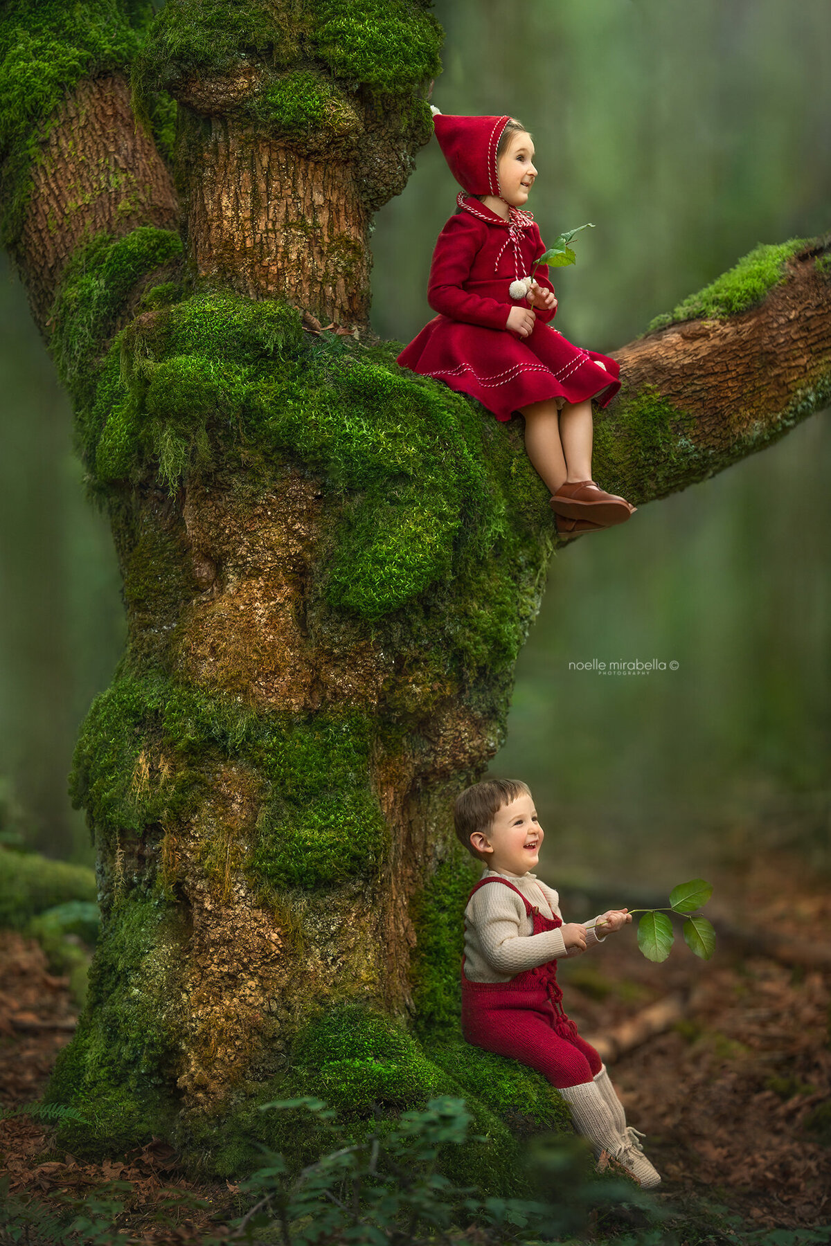 Two children dressed as pixies in large mossy tree in the forest.