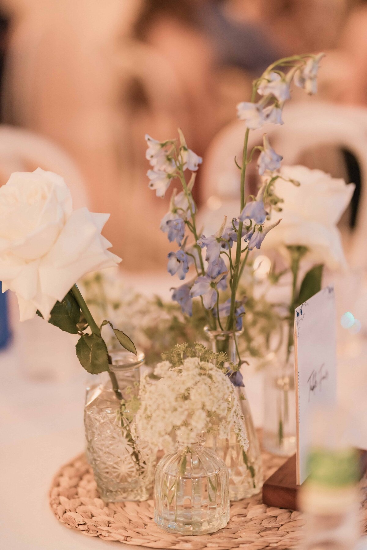 1396_Lisa Watson Photography_LW405268