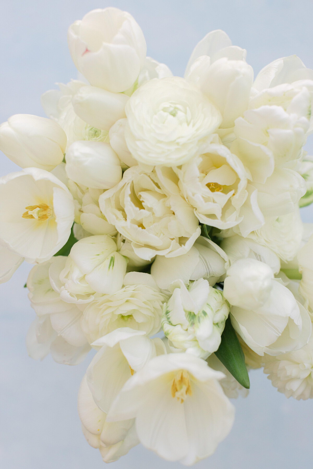 maggiejeffbethanymichaela-39