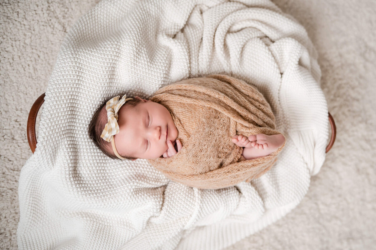 Detroit-Area-Newborn-Photographer-511