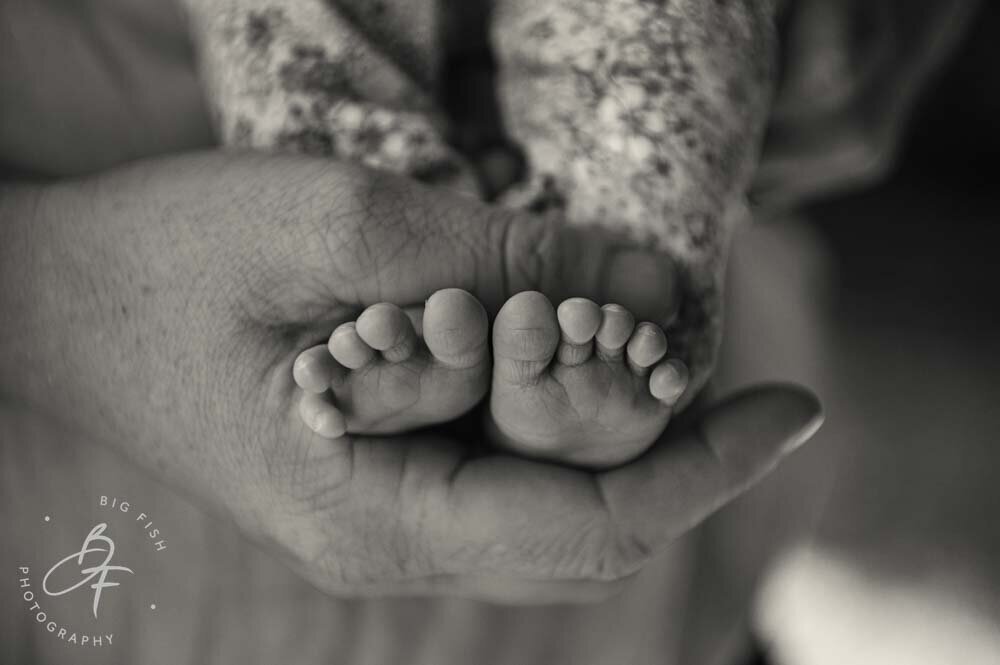 Newborn Photography Suffolk
