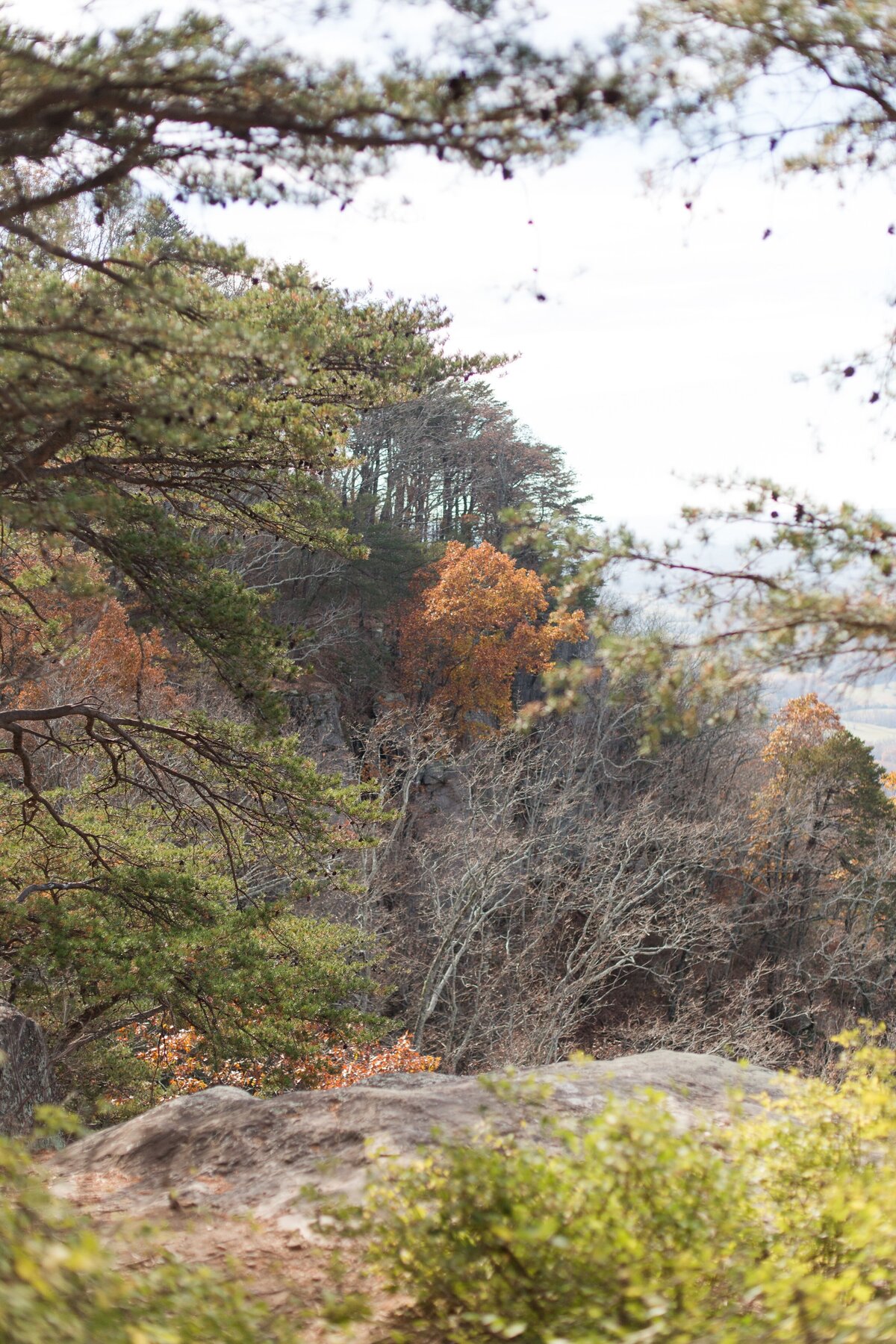 RynLoren_Chattanooga_Fall2021-22