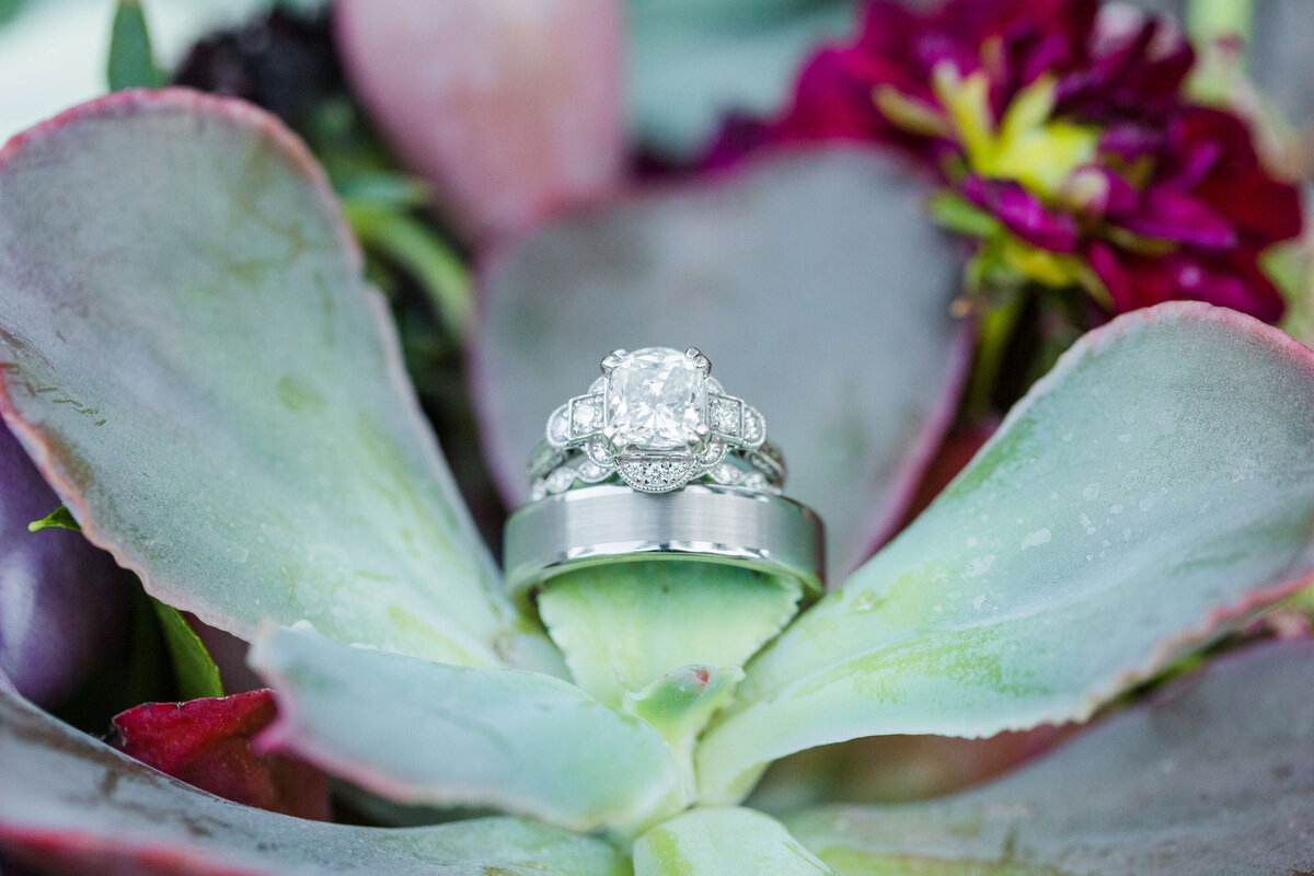 EricaMendenhallPhotographyCasadeMonteVistaWedding_MP_8787