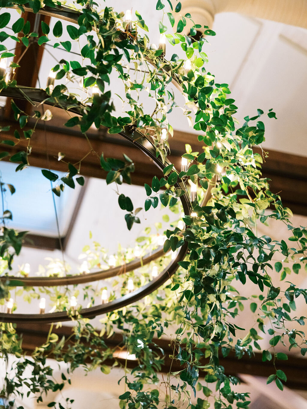 OliviaandBrandon_sWedding-966