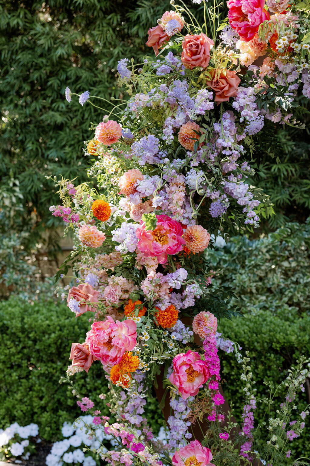 franciscan-gardens-wedding-planner57