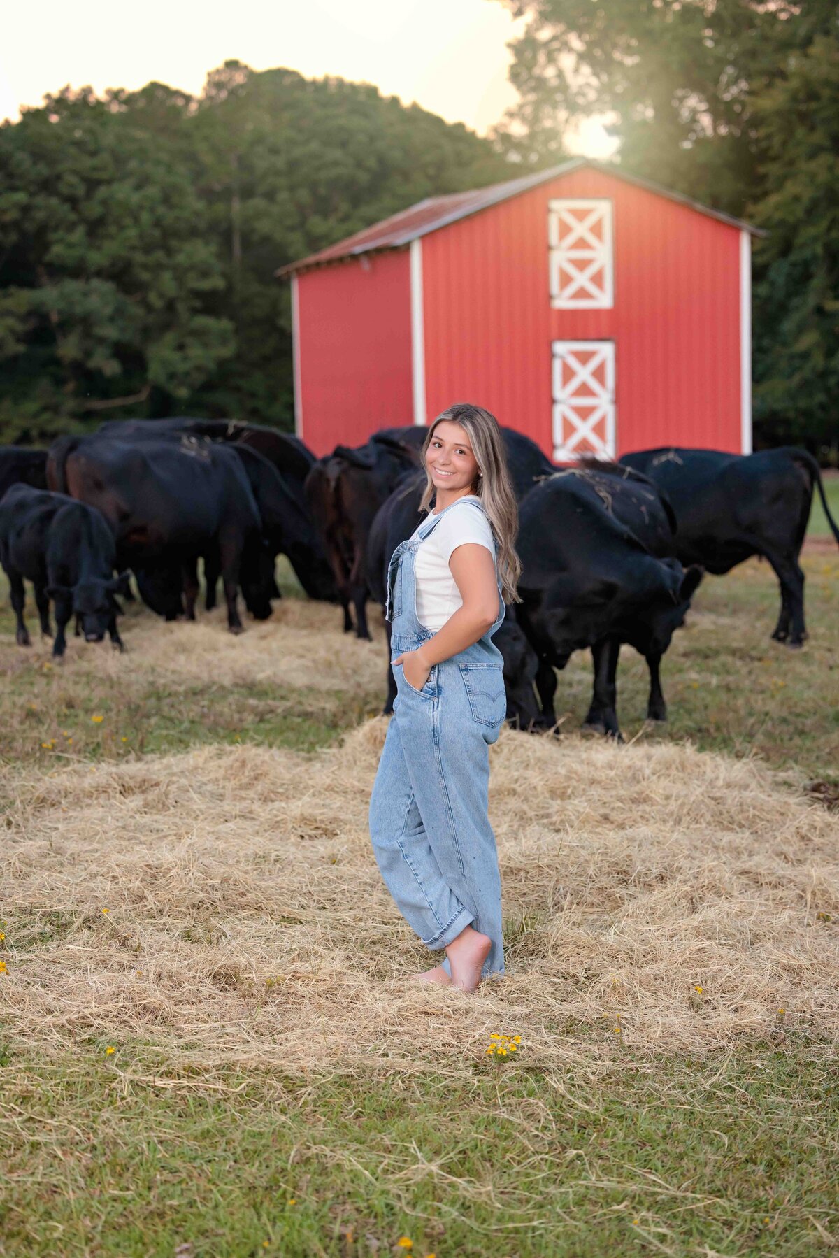 Raleigh high school portraits on a farm in Raleigh with cows.