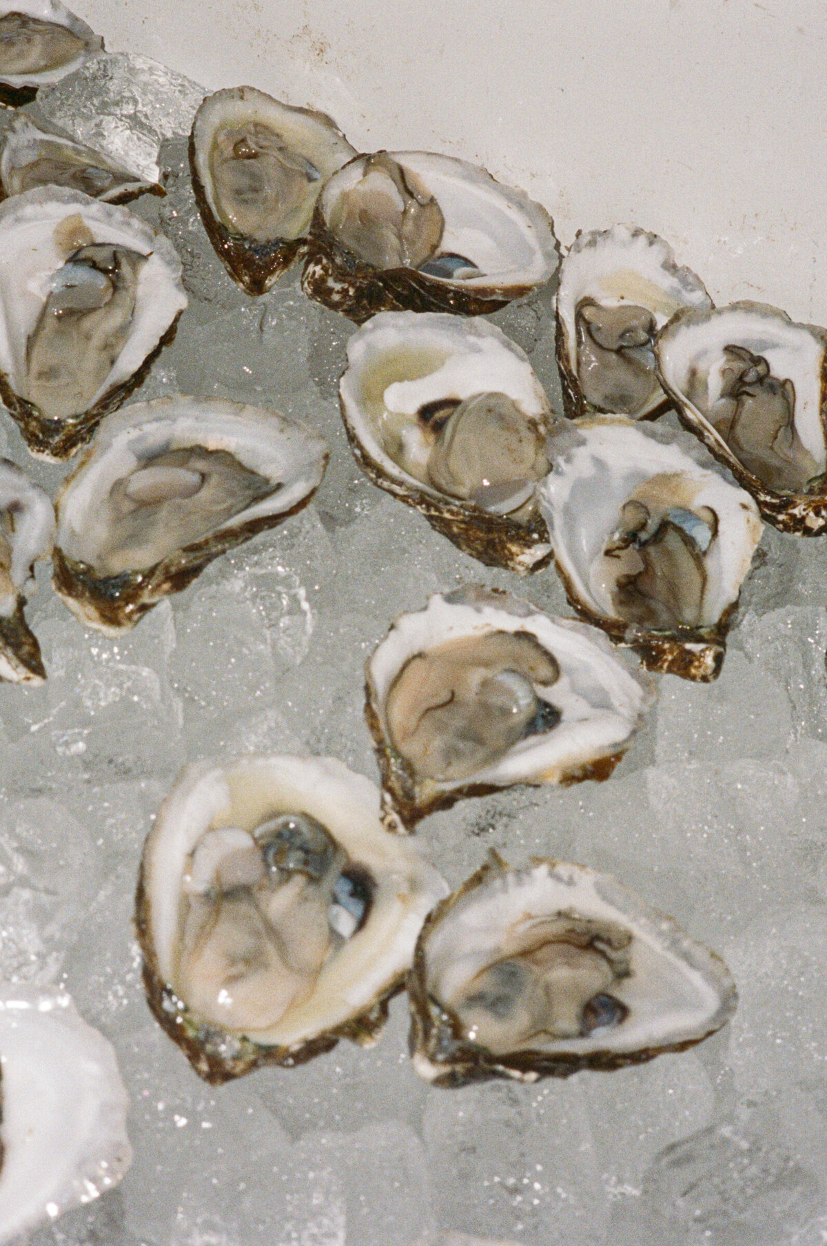 Jenny Losee Photography (18 of 28)