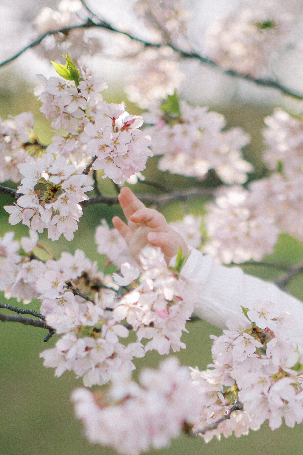 websamantha_spring-109