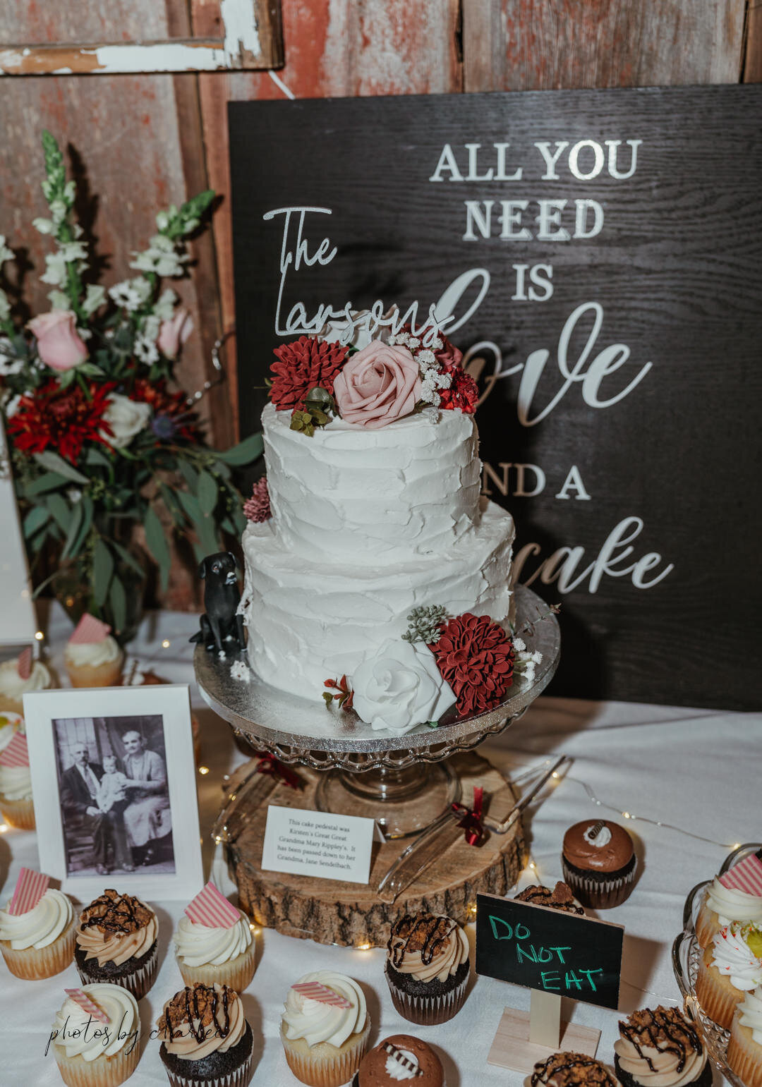mondovi wedding photographer-89