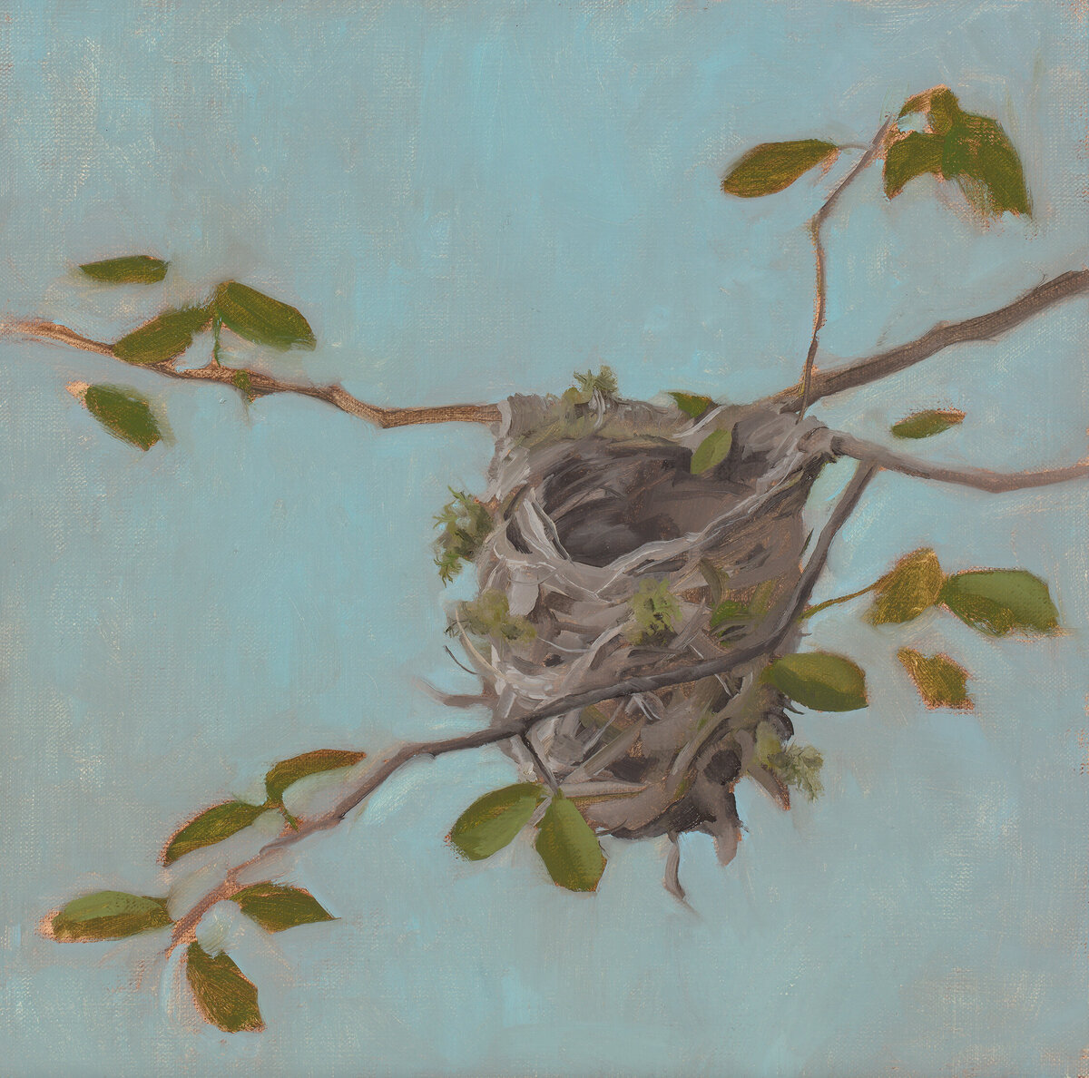 2023_Denney Ranch Nest_01_Clair Gaston_