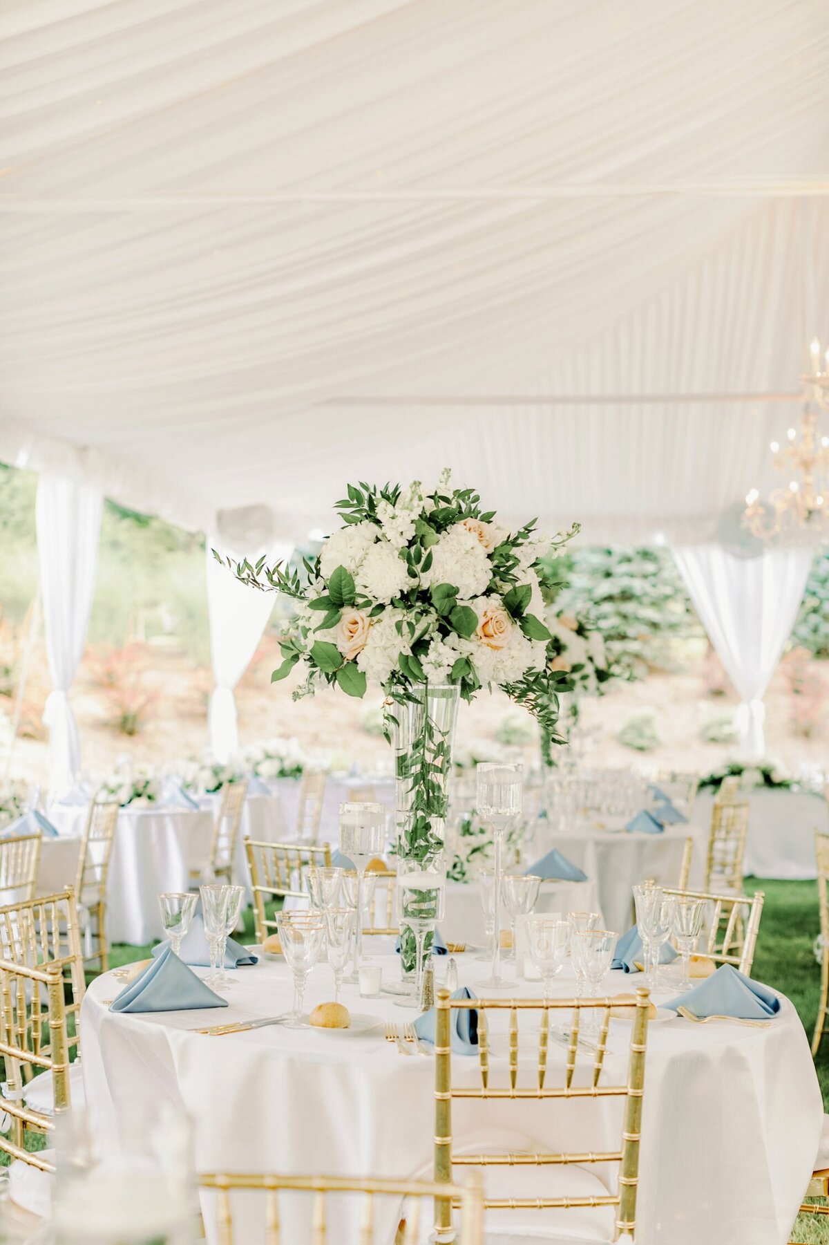 colonial williamsburg wedding__2825
