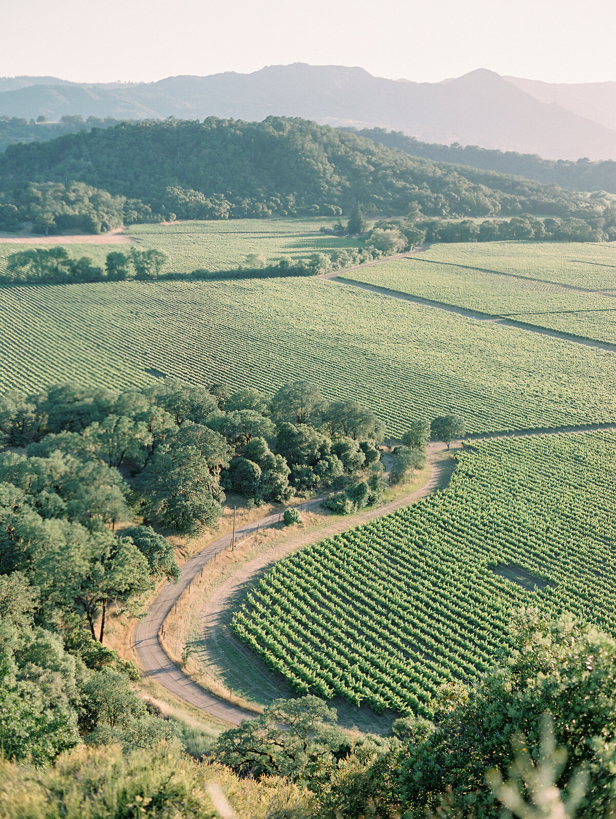 bay-area-private-estate-wedding-photographers-in-geyserville-california-the-tenneys-1