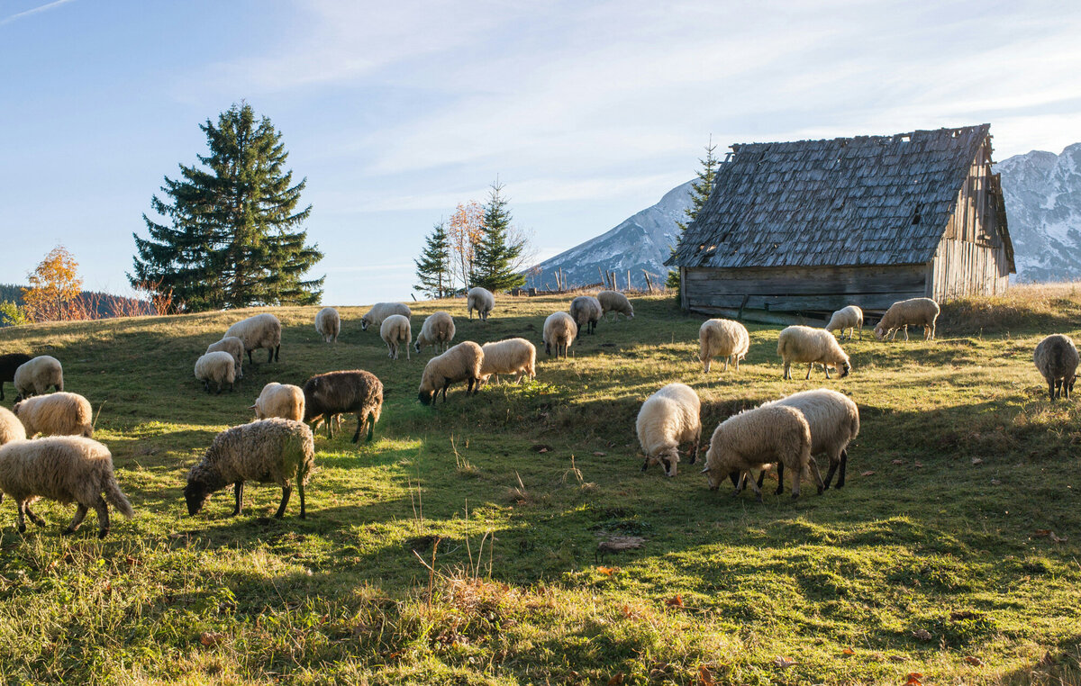 Europe-and-Greece-Travel-Agent-in-Minnesota-and-Wisconsin-Quiet-Meadow-Travel-010