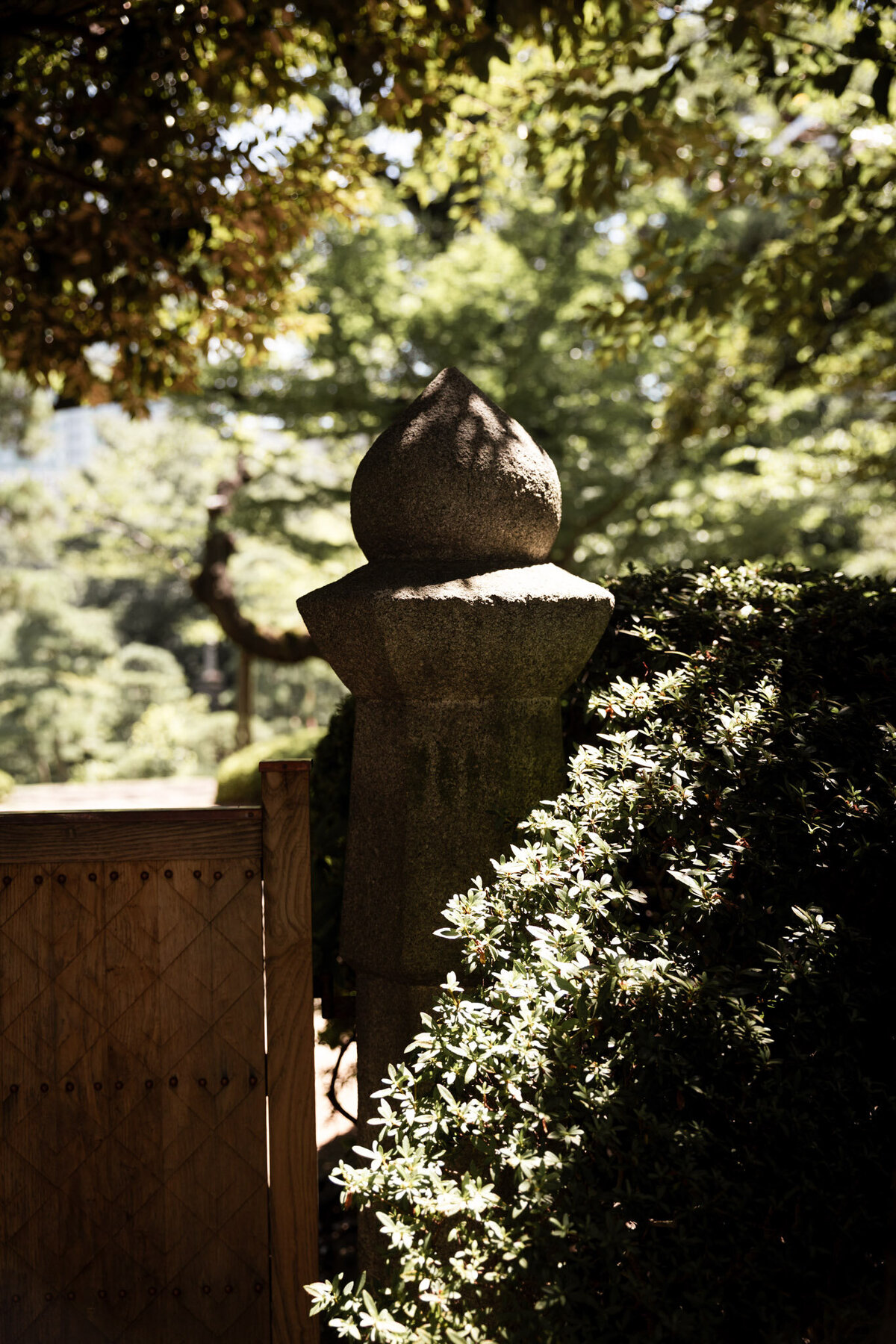 Japan for Website-19